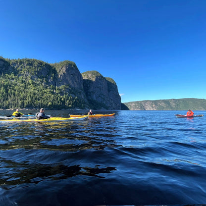 Stage Niveau 2 kayak de mer: quatre jours au Saguenay - SAISON 2023